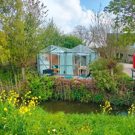 Vrijstaande accommodatie Glamping de Kas InN Hank Exterior foto