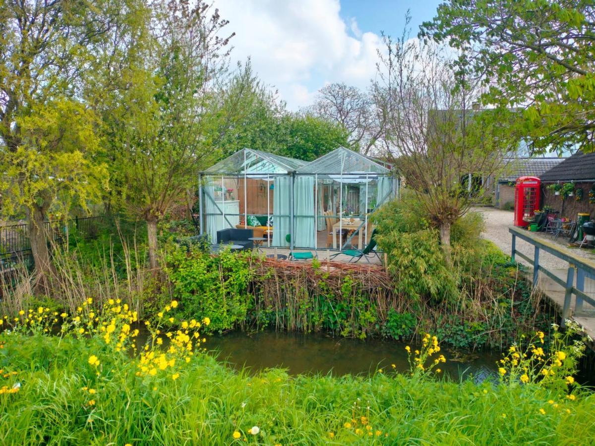 Vrijstaande accommodatie Glamping de Kas InN Hank Exterior foto