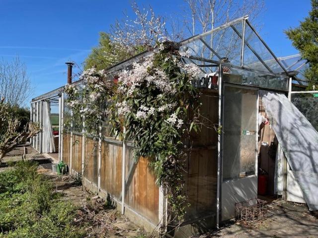 Vrijstaande accommodatie Glamping de Kas InN Hank Exterior foto